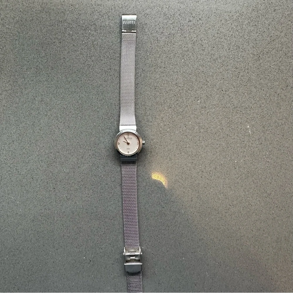 Skagen Silver Mesh Strap Watch